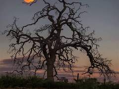 페달을 밟을 때마다 나오는 허밍은 나의 궤도이다