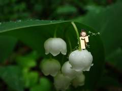 요따만한 아요아요