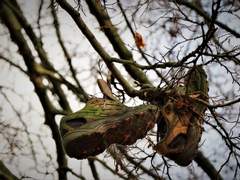 피엪경민승수/ Happily ever after 下