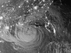 타로 카드_미래 운세