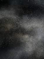 유진 O. 라디슬라프