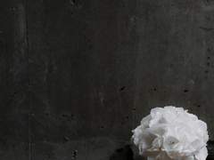 흔들리는 정신 속에서