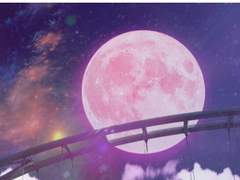 나랑 아니면 :15