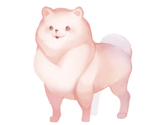 우리집 똥몽총이