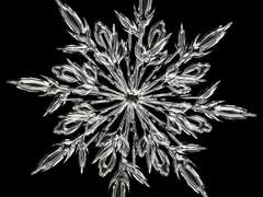 [슈농]크리스마스의 추억