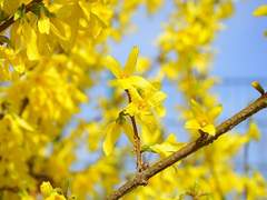 School, Meet, Lively!