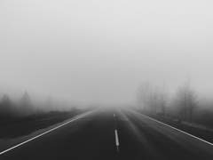 [희신강징] 會者定離 去者必返 -1-