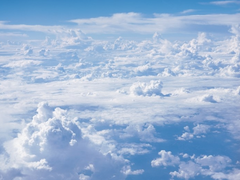 당신께 작은 낭만을 드려요.