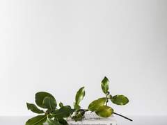 [하이큐/히나른] 날개를 펼 때까지 - 2