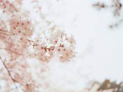 이어진 길의 끝