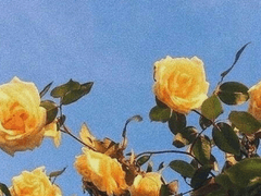 Jump out the window if you are the object of passion.