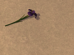 암흑기사 잡퀘스트 - 북미판 스크립트 번역 (80LV.)