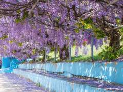 기침과, 가난과, 사랑은, #08