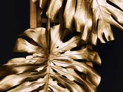 1-6 칠흑의 맹금