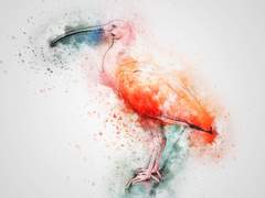 희신강징 전력 60분 [연지/립스틱] - 홍조(红鸟）