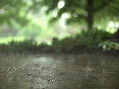 [모온] 우리가 형제들을 사랑했던 계절