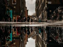 행크코너: 이상한 디트로이트의 경위님