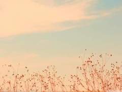 [하이큐/히나른] 날개를 펼 때까지 - 3