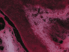 43번째 날의 기록