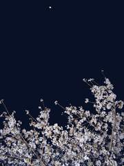 그대만 없는 세상