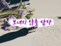 보내지 않을 답장