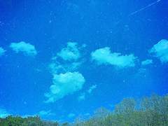 너의 아름다움이 온통 글이 될까봐.