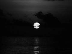 어딜 보고 미워한 걸까.