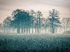 [마도조사/망기무선] 업화(業火) - 현재 中