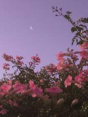 너와 나의 타이밍