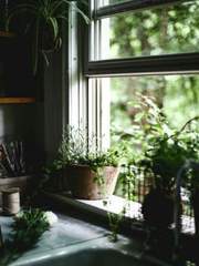 룸메이트 + 소울메이트