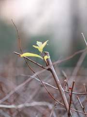 글이 쓰고 싶어서