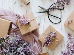 [시라히나] 깜짝 선물