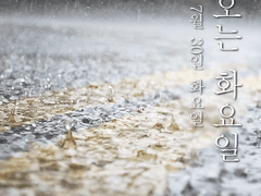 비 오는 화요일 : 2013년 7월 30일 화요일