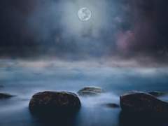 달빛에 몸을 던져.