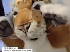 인스타스토리 𝟐𝟑