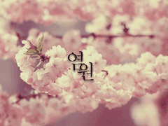 [요리미치] 염원 上