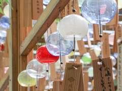 저, 사니와 맞습니다 : Ep. 2