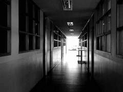 진실 혹은 거짓 2