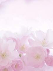 오늘은, 러브 미!