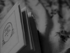 4 | 파벨 스메르쟈코프 까라마조프