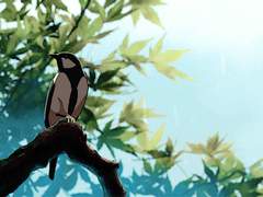 여름숲 짧은 썰 모음