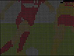 우아하고 호쾌한 여자 축구 / 김혼비