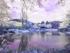 HQ!! 대신 전해드립니다! - 2