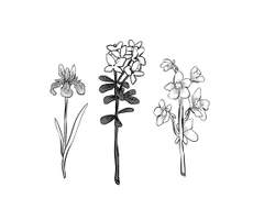 세 사람의 소네트 3