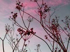 [아에안드] What news from the North?