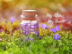 [현제유진]My Alice, My Han