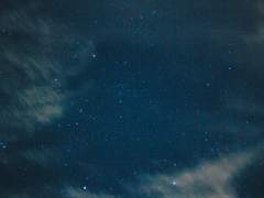 하루를 살아가는 당신에게