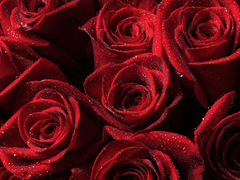 [우먼지터] The Second Prelude