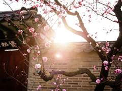 [HQ]夢 - 아카아시 케이지