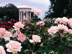 [현제유진] 무덤